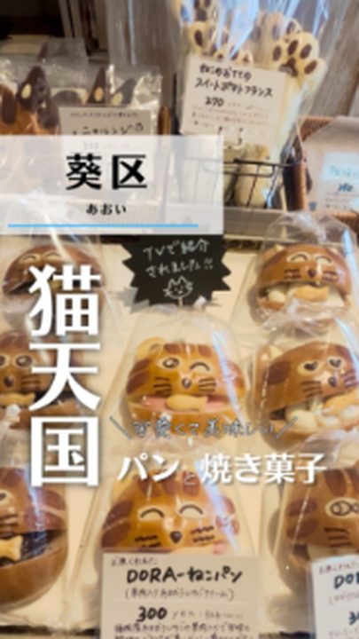 静岡市葵区|CAT&BAKES 9456(タビノミのInstagramリール)